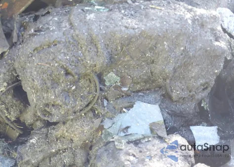 2020 Ram 1500 Limited 4X4 5'7 Box из США, поврежденный, VIN 1C6SRFHT1LN254766